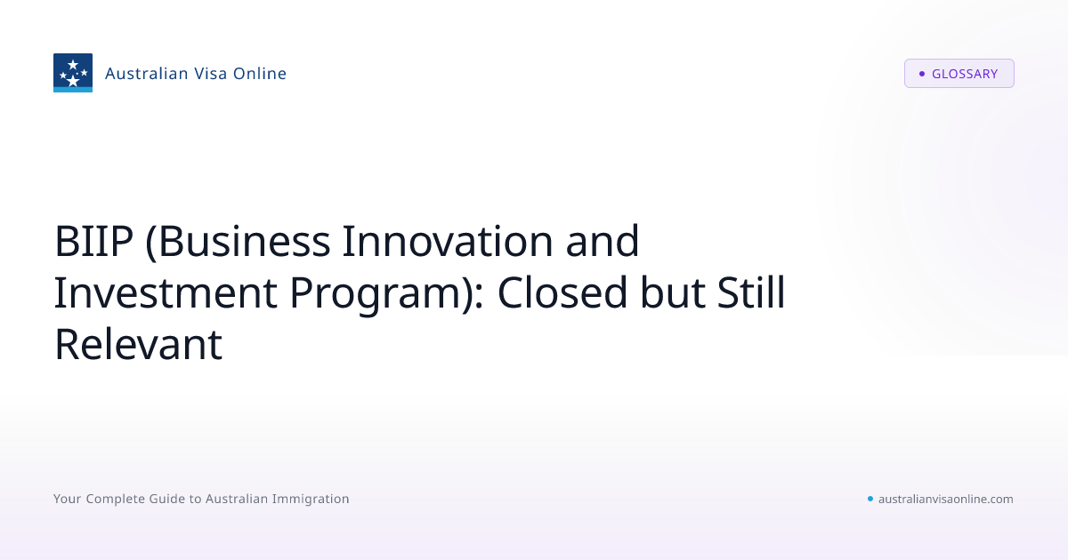 BIIP Business Innovation and Investment Program Explained